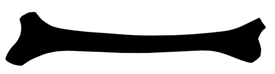 Bone Stock Illustration