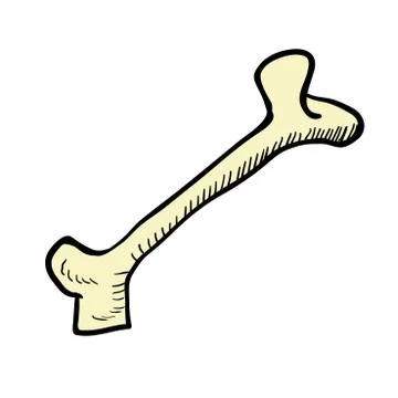 Bone Stock Illustration