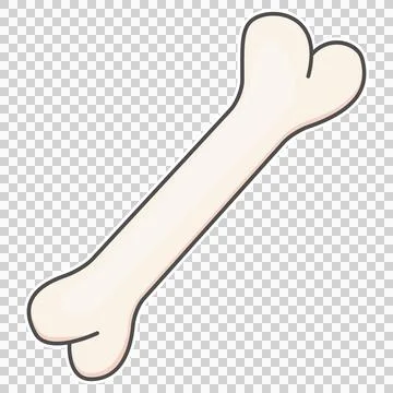 Bone Stock Illustration