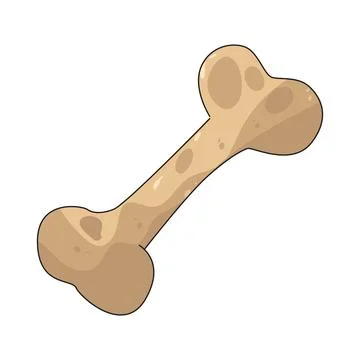 Bone illustration Stock Illustration