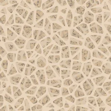 Bone inside structure seamless pattern. EPS 10 Illustrazione stock
