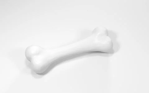 Bone isolated on white background, 3d rendering. イラスト素材