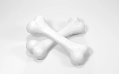 Bone isolated on white background, 3d rendering. イラスト素材