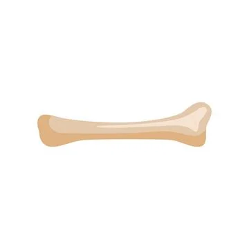 Bone isolated on white background. Element for play with dogs in flat style. Stock-Illustration