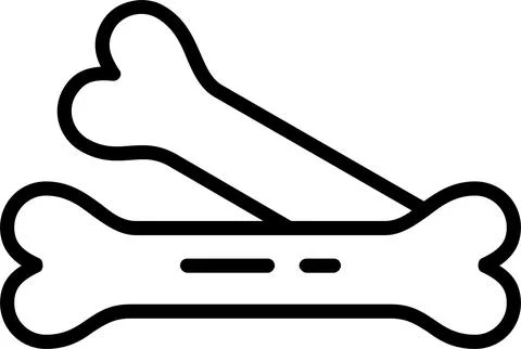 Bone Line Icon Design Stock Illustration