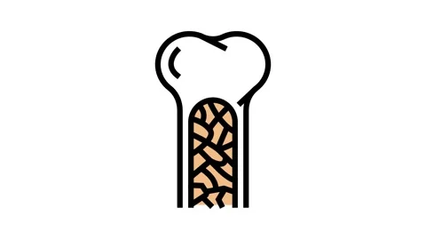 Bone marrow color icon animation Stock Footage 224004574