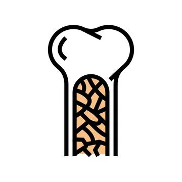 Bone marrow color icon vector illustration イラスト素材