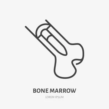 Bone marrow flat line icon. Vector thin pictogram of human skeleton structure Stock Illustration