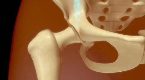 Bone marrow Stock Footage 63862588