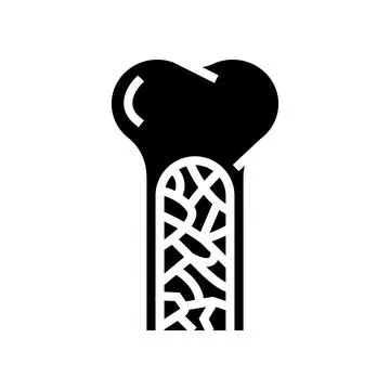 Bone marrow glyph icon vector illustration イラスト素材