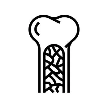Bone marrow line icon vector illustration Illustrazione stock