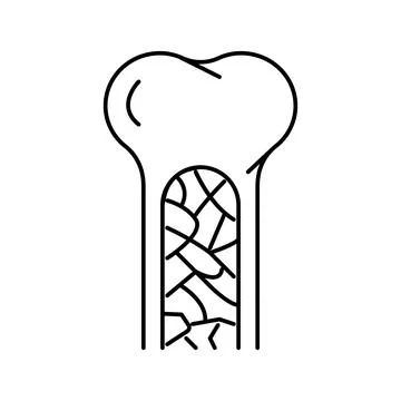 Bone marrow line icon vector illustration イラスト素材
