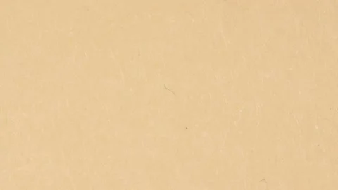 Bone Texture Seamless Stock Videos – Royalty-Free HD & 4K Videos