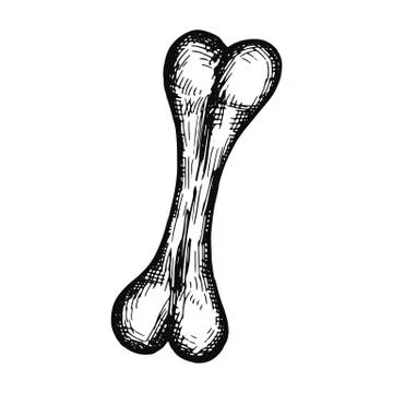 Bone pattern object. isolated sketch Illustrazione stock