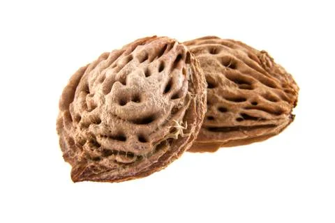 Bone peach Stock Photos