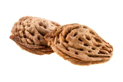 Bone peach Stock Photos