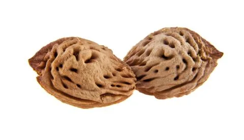 Bone peach Stock Photos