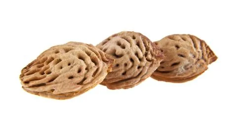 Bone peach Stock Photos