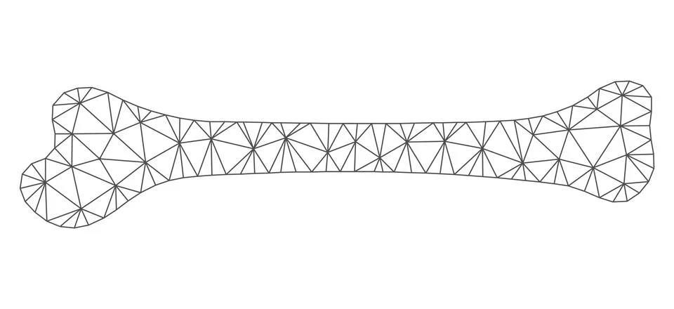 Bone Polygonal Frame Vector Mesh Illustration 스톡 일러스트