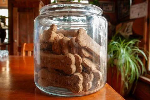 Bone-shaped dog biscuits in an open glass jar on a wooden table Stock Photos