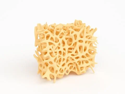 Bone structure part isolated on white Stock Illustration