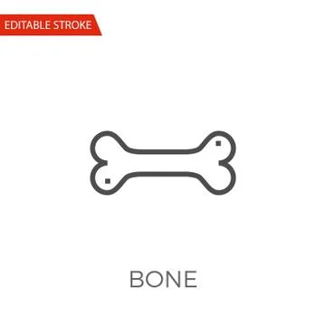 Bone Vector Icon Stock Illustration