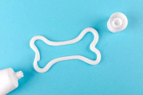A bone from white toothpaste, animal teeth care concept, on blue background Stock Photos