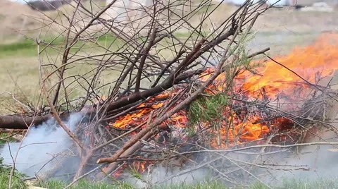 Bonefire closeup view Stock Footage 49733182
