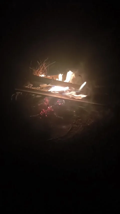 Bonefire, fire flames in campfire, Closeup Burning Fire Stock Footage 312128629