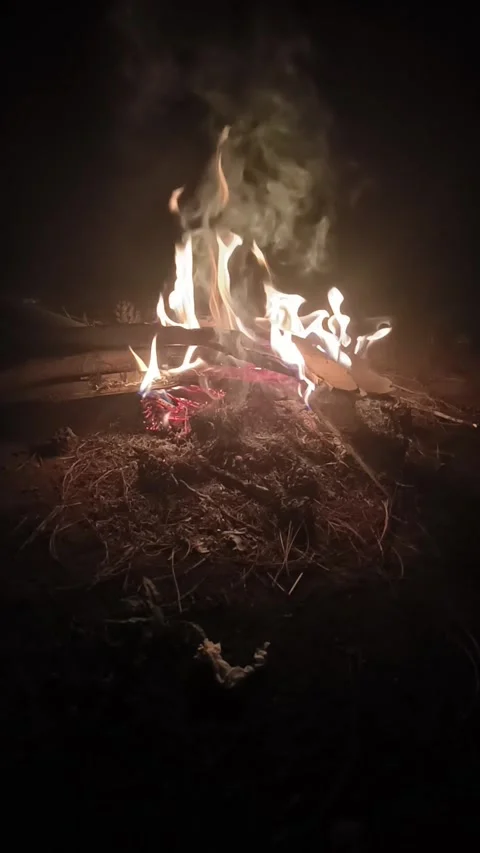 Bonefire, fire flames in campfire, Closeup Burning Fire Stock Footage 312128702