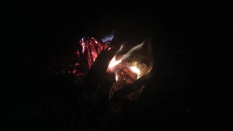 Bonefire, fire flames in campfire, Closeup Burning Fire Stock Footage 312129049