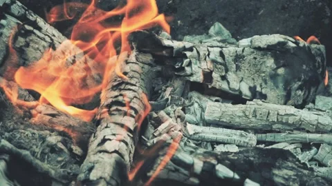 Bonefire, Fire flames in campfire Stock Footage 133739868