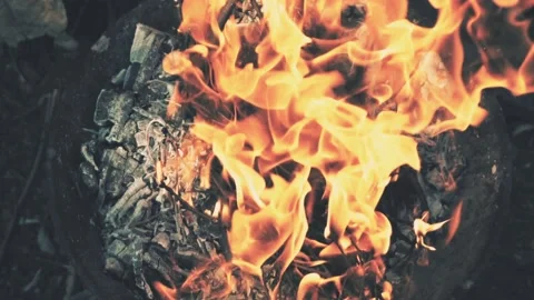 Bonefire, Fire flames in campfire Video stock 133763943