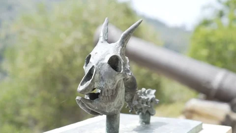 Bonefish artifact in slow motion Stock Footage 101279123