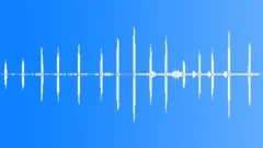Bonellis Warbler Song Cu Sound Effect