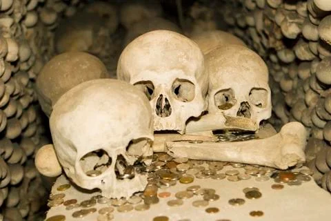 Bones and coins Stock Photos