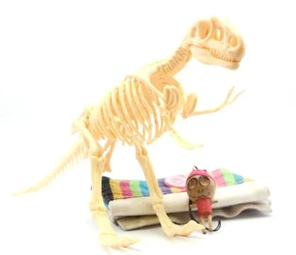 Bones and Ghost Foto stock