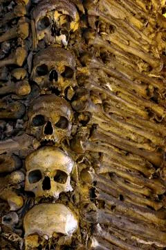 Bones and skulls Stock Photos