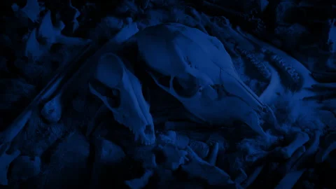 Bones And Tools Tribal Collection At Night Stock Footage 341281148