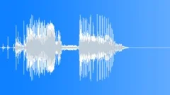 Bones Breaking 17Sound Effect