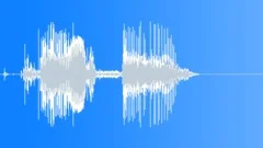 Bones Breaking 18Sound Effect