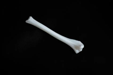 Bones from a dog with black background Stock Photos