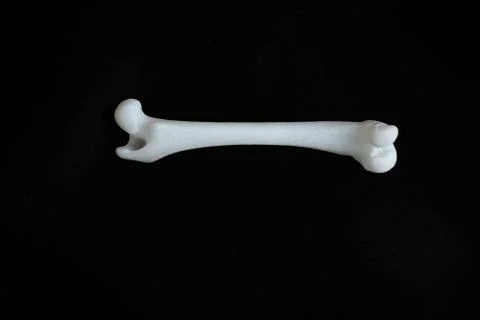 Bones from a dog with black background Stock Photos