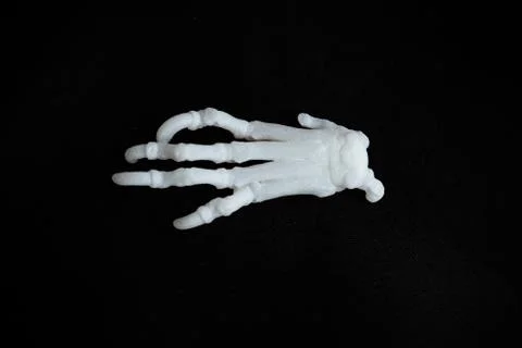 Bones from a dog with black background Stock Photos