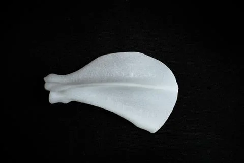 Bones from a dog with black background Stock Photos