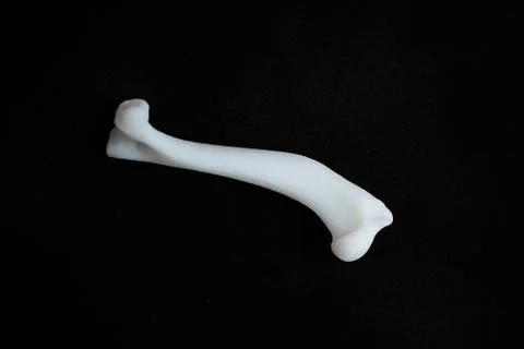 Bones from a dog with black background Stock Photos