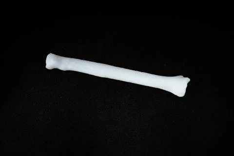 Bones from a dog with black background Stock Photos