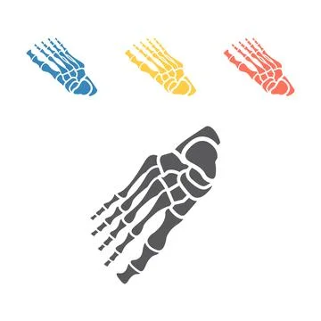 Bones of foot. Skeleton part. Vector signs for web graphics. Stock Illustration