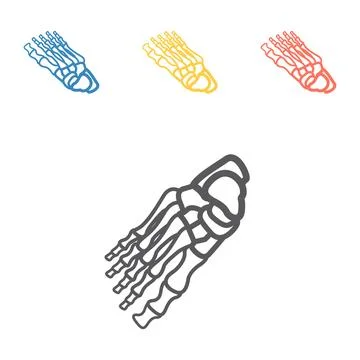 Bones of foot. Skeleton part. Vector signs for web graphics. Stock Illustration