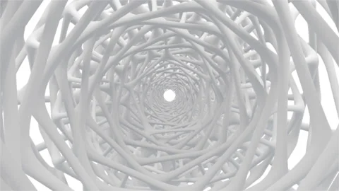 Bones Geometry Stock Footage 169230668